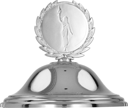 Trofeum 8350 Srebrne