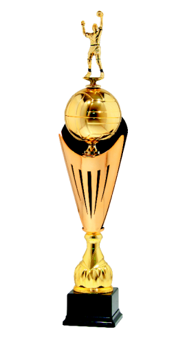 Trofeum Siatkarskie 9787 - Nagroda Sportowa
