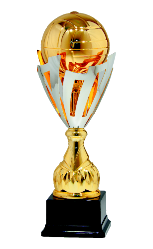 Trofeum Siatkówka 9793 - Nagroda dla Sportowca
