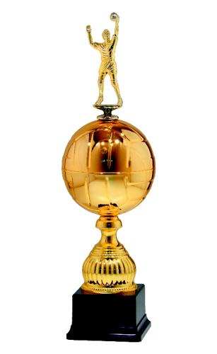 Trofeum Siatkówka 9795 - Nagroda Sportowa