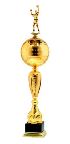 Trofeum dla Siatkarza 9794 - Nagroda Sportowa