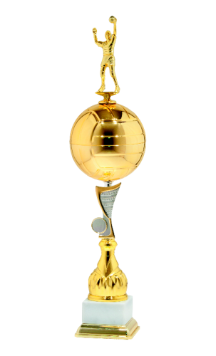 Trofeum dla Siatkarza 9797 - Nagroda Sportowa