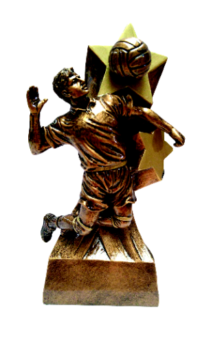 Figurka Siatkarska SHOT THE STAR XCE33597Y - Trofeum Sportowe