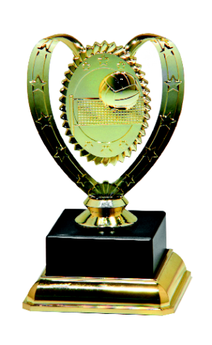 Statuetka Siatkówka RFH4176A - Trofeum Sportowe