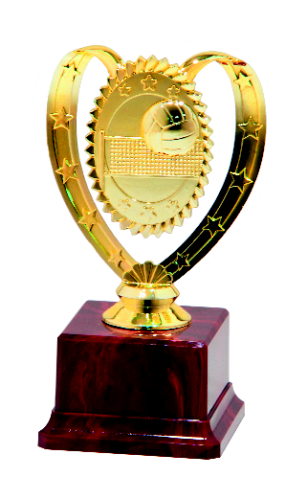 Statuetka Siatkówka RFH4176D - Trofeum Sportowe