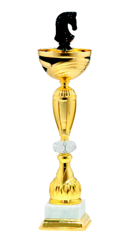 Puchar Koń Szachowy 9816 - Trofeum Szachy