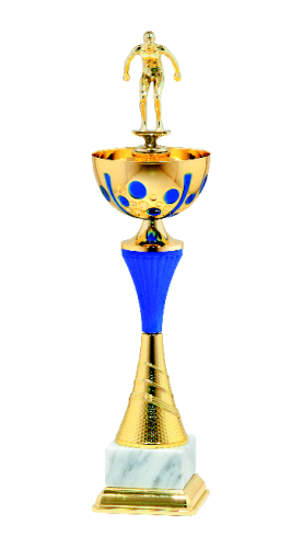 Puchar Pływacki 9809 - Nagroda Sportowa