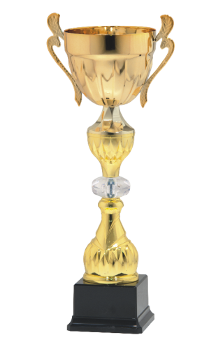 Złoty Puchar S-9115 - Eleganckie Trofeum