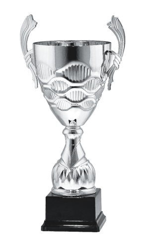Srebrny Puchar S-9053 Metalowy Puchar