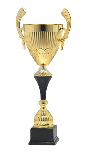 Okazjonalny Puchar LISA S-9100 - Metalowe Puchary Sportowe