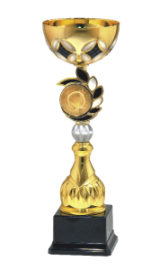 Okolicznościowy Puchar ONYX 10170 - Unikatowe Puchary Sportowe