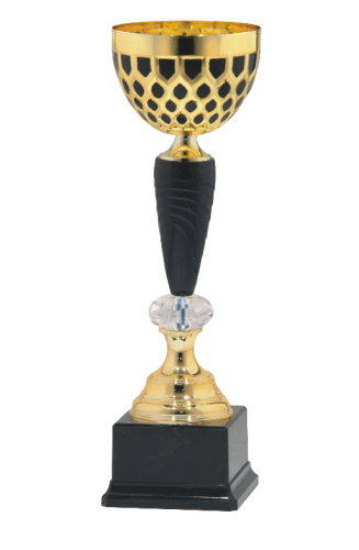 Okazyjny Puchar NOLAN 9143 - Metalowe Puchary Sportowe