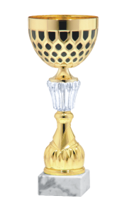 Okazjonalny Puchar DUSTIN S-9251 - Turniejowe Puchary Metalowe