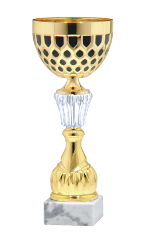 Okazjonalny Puchar DUSTIN S-9251 - Turniejowe Puchary Metalowe
