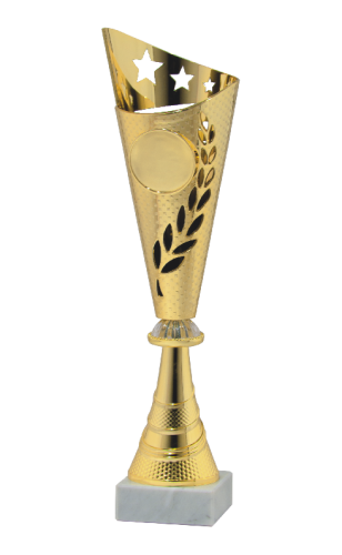 Złoty Puchar S-9263 - Okazjonalna Nagroda Sportowa 