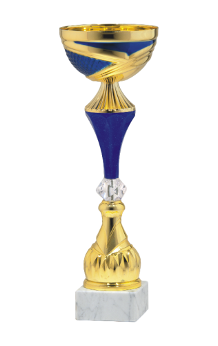 Okazyjny Puchar S-9267 - Unikatowe Puchary Sportowe