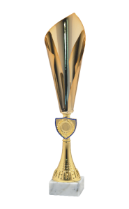 Okazjonalny Puchar POLLY 9353 - Unikatowe Nagrody Sportowe