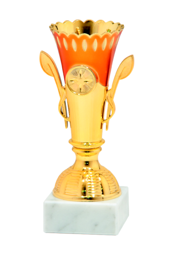 Okazyjny Puchar 9552 - Unikatowe Puchary Sportowe