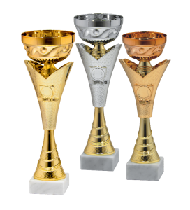 Okolicznościowy Puchar NOTOS 10381 - Metalowe Puchary Sportowe