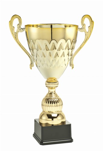 Okazjonalny Puchar ARGUS ML.034B - Metalowe Trofea Sportowe