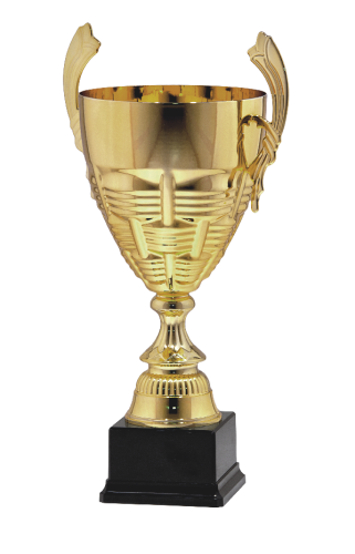 Klasyczny Puchar LIBERTAS S-9008 - Okazjonalne Puchary Sportowe