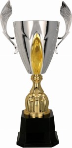 Puchar Okolicznościowy Stalowy Garet 4121-N - Trofeum Eleganckie Sportowe 