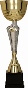 Puchar Biznesowy ELORA 4211- Trofeum Okazjonalne Metalowe 