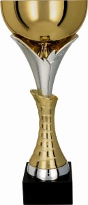 Puchar Sportowy NILA 7135 - Trofeum Znicz Stalowe 