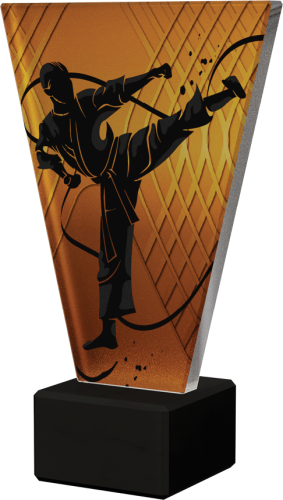 Trofeum Szklane V-LINE VL1/KAR Statuetka Karate
