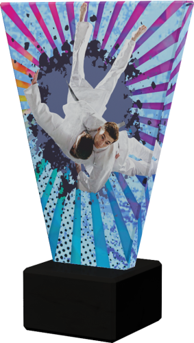 Trofeum Szklane V-LINE VL2/JUD Statuetka Judo