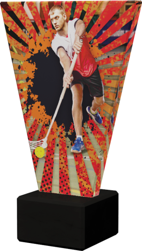 Trofeum Szklane V-LINE VL2/UNI Nagroda Unihokej