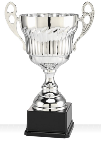 Unikatowy Puchar CHWAŁA S LT.079 - Prestiżowe Trofea Metalowe