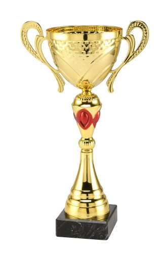 Złoty Puchar RUBIN MT.124 - Metalowe Trofea Sportowe