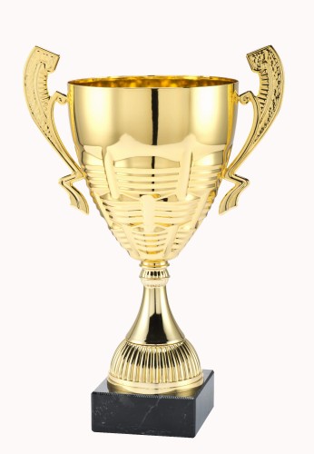 Okazjonalny Puchar WIN MT.117B - Metalowe Trofea Sportowe