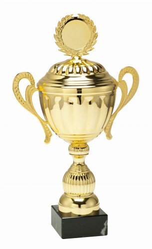Puchar z Przykrywką HARRY MT.095 - Nagrody Sportowe 