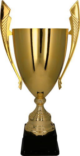 Puchar Metalowy Złoty 1069 Trofeum z Grawerem
