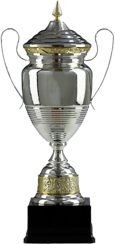 Puchar Metalowy 1072 Trofeum Sportowe