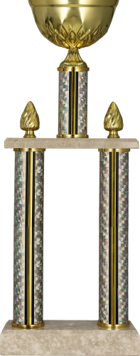 Okazjonalny Puchar Cher 2088 - Unikatowe Trofea Metalowe
