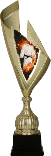 Trofeum Indywidualne Karate SIMPLY2.0 4232/KAR - Puchar z Nadrukiem 