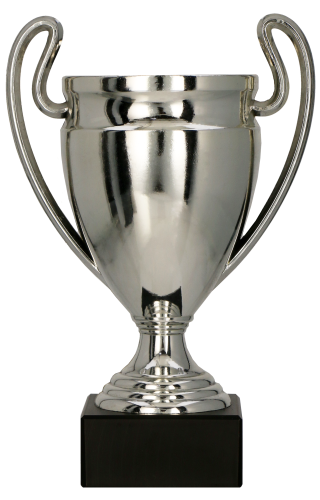 Puchar Plastikowy Srebrny 8378  Tanie Trofea