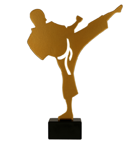 Statuetka Metalowa Złota ML-KAR Statuetka Karate