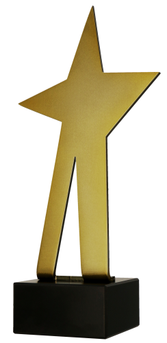 Nagroda Biznesowa - BL-STA - Statuetka Metalowa Diament