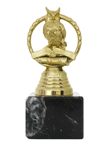 statuetka z grawerem SOWA nagroda szkolnictwo MP285-13 1.png