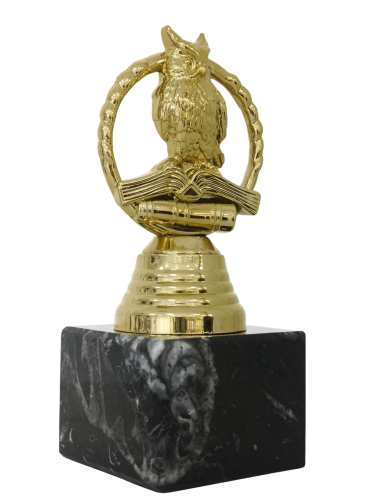 figurka SOWA nagroda dla nauczyciela MP285-13 2.png